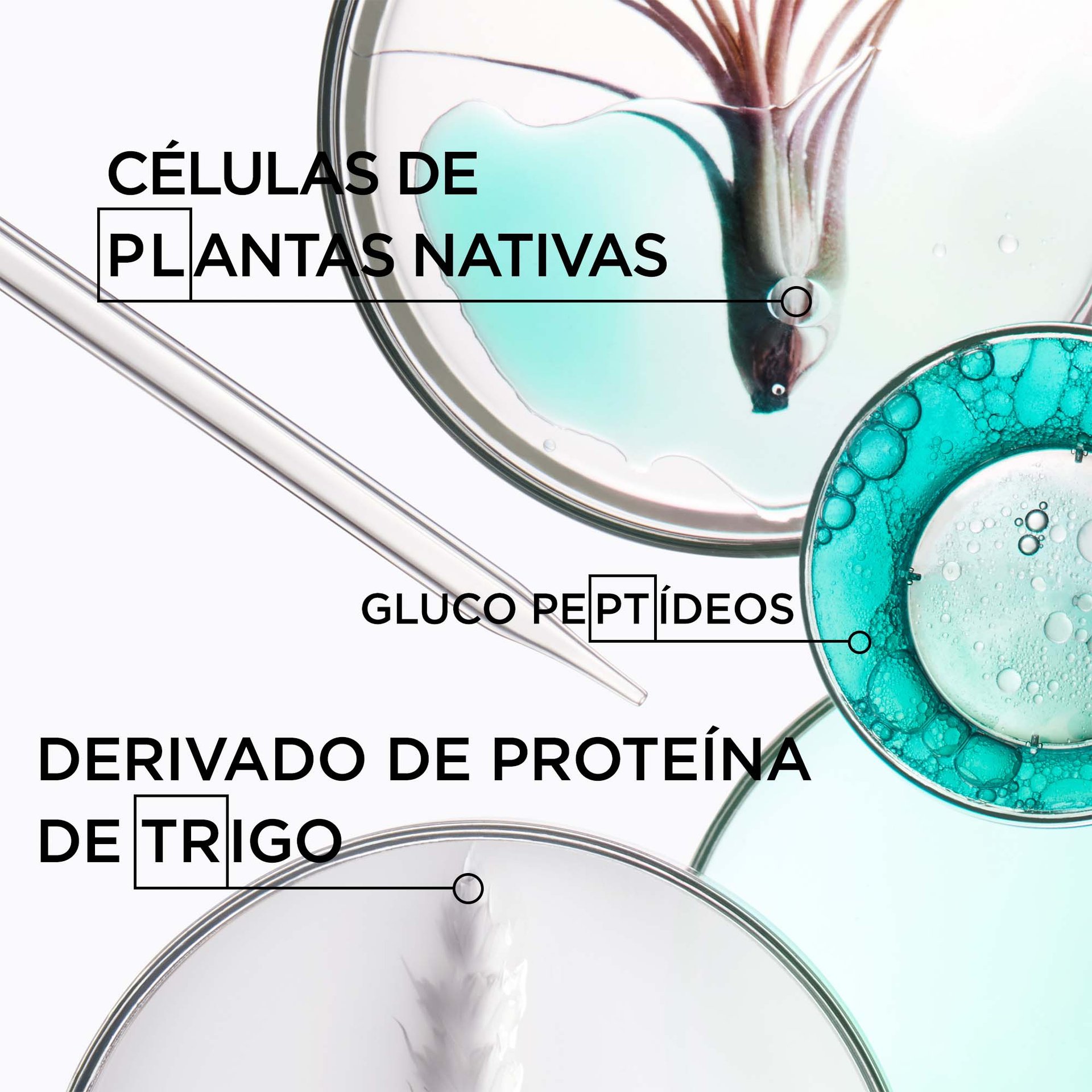 Principais ingredientes gama therapiste de kérastase